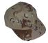 childcap6.jpg (3296 bytes)