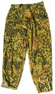 dot6s.jpg (54973 bytes)