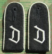 rse231s.jpg (3431 bytes)