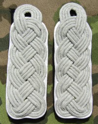 rse263s.jpg (3675 bytes)