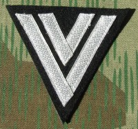 rse557s.jpg (2923 bytes)