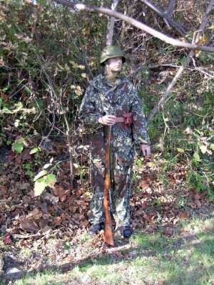 scs8s.jpg (5930 bytes)