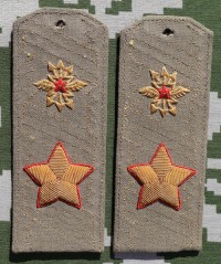 smsb22s.jpg (3103 bytes)