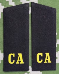 ssb1s.jpg (39643 bytes)